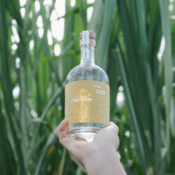 ONERUM Agricole 2022 Harvest | ONERUM