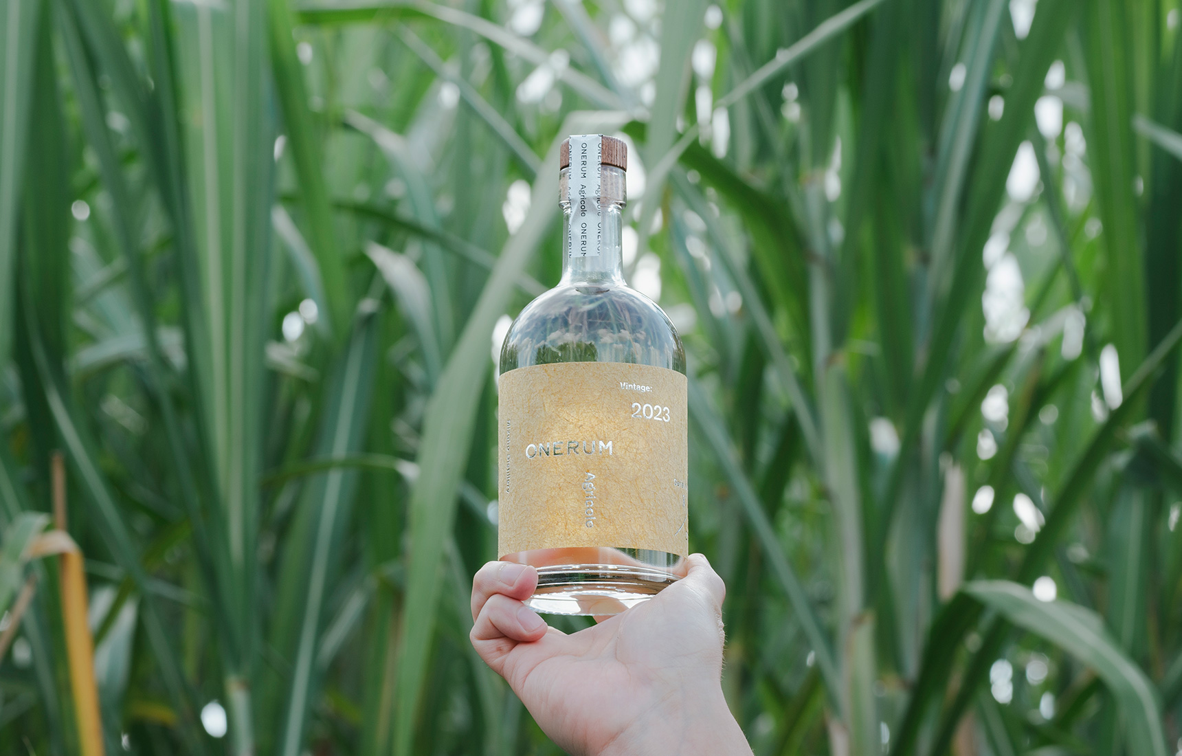 ONERUM Agricole 2023 Harvest | ONERUM